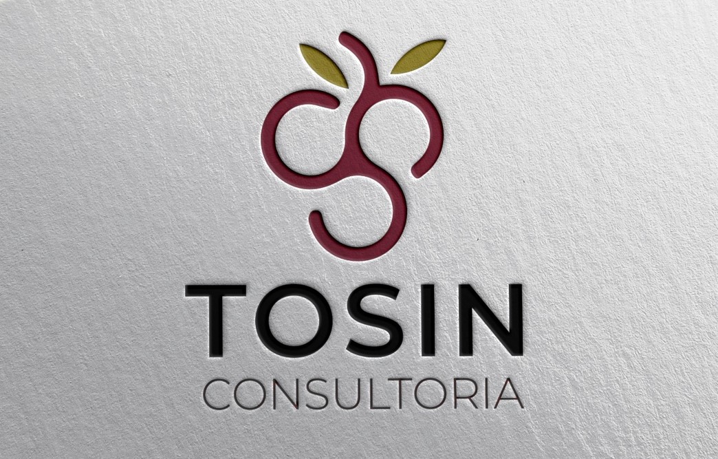 https://www.goovy.com.br/project/tosin-consultoria/